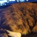 A eulogy for my best friend