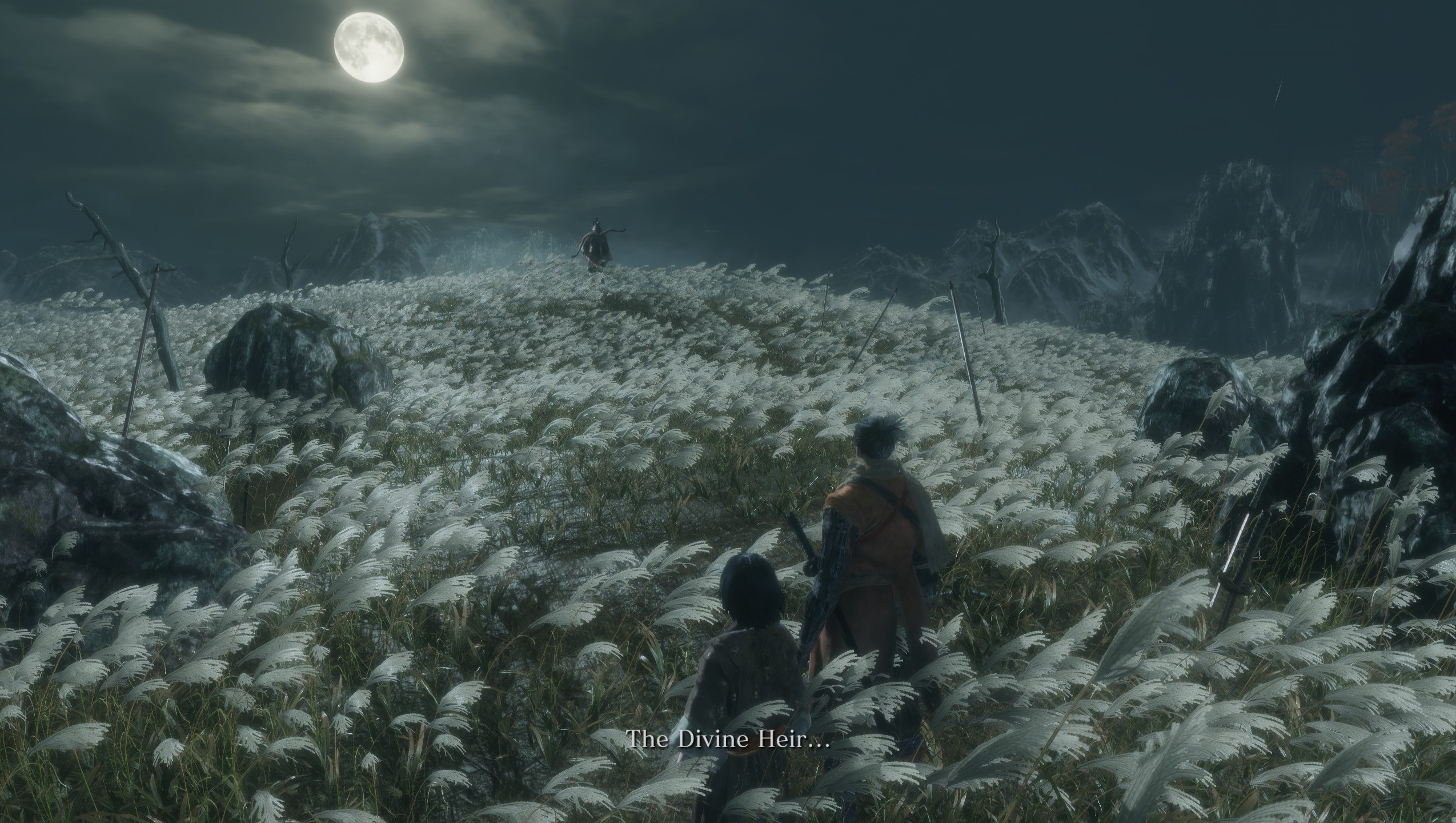 Wolf and Kuro face down one of the many coveters of the immortality blessing.